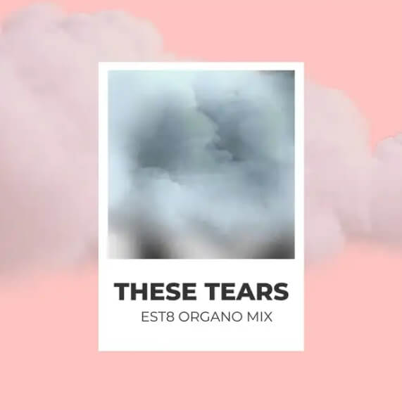 Spiritchaser, Est8 – These Tears (Est8 Piano Mix)